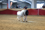 SBM_16639