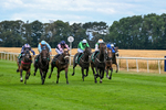 Race 2 14.40pm Bob Vickery Memorial Restricted Maiden Fillies' Stakes portfolio