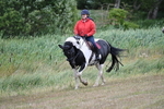 WJ7_6550