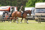 SBM_14995