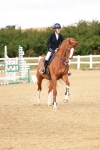 SBM_006952