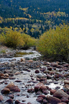 3HPhotography10-6-24_RMNP_0415_
