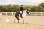 SBM_001460