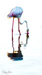 Flamingo dessaturated