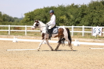 SBM_004830