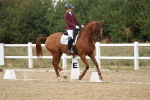 SBM_011934