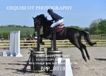 CLASS 2 Club/ Unaffiliated 80cms Open portfolio