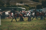 DSCF7296