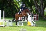 Cls 56 85cm Amateur Qualifier portfolio