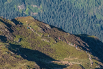Lords Seat-29