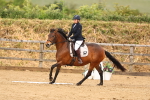 SBM_001995