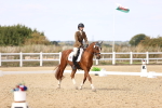 SBM_014965