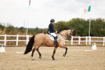 SBM_001725