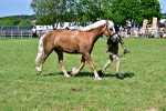 SBM_08081