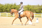 SBM_008440