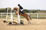 SBM_002963