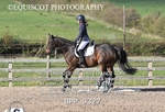 BPP_9327