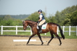 SBM_007924
