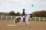 SBM_002641