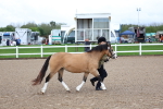 SBM_00243