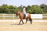 SBM_004010
