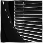 theme 9 week 3: LOW KEY