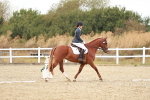 SBM_012108