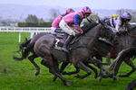 141125-Race 5-Moneygarrow-0982