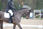 British Dressage portfolio