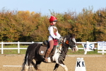 SBM_000184