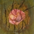 Bog Earth 8, 15cm x 15cm