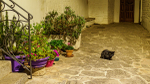 Puglia-626