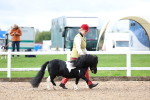 SBM_00253