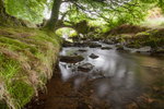 Robbers Bridge in Summer