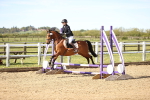 SBM_000355