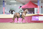 SBM_03399