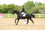 SBM_006513