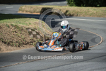 Hillclimb_02-08-2014_Kart-26