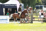 SBM_17630