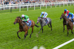 240824-Race 3-Breege-8975
