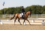 SBM_006875