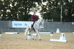 SBM_31178