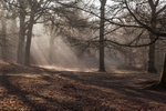 Winter at Wenchford