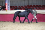 SBM_04967