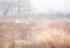 OCTOBER 2012 #7 - NORFOLK COUNTY
