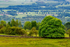 Yorkshire8