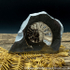 Cut & Polished Whitby Ammonite 055
