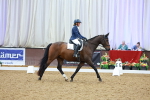 SBM_000769