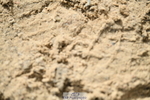 251004A-130602-01138