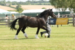 SBM_02303